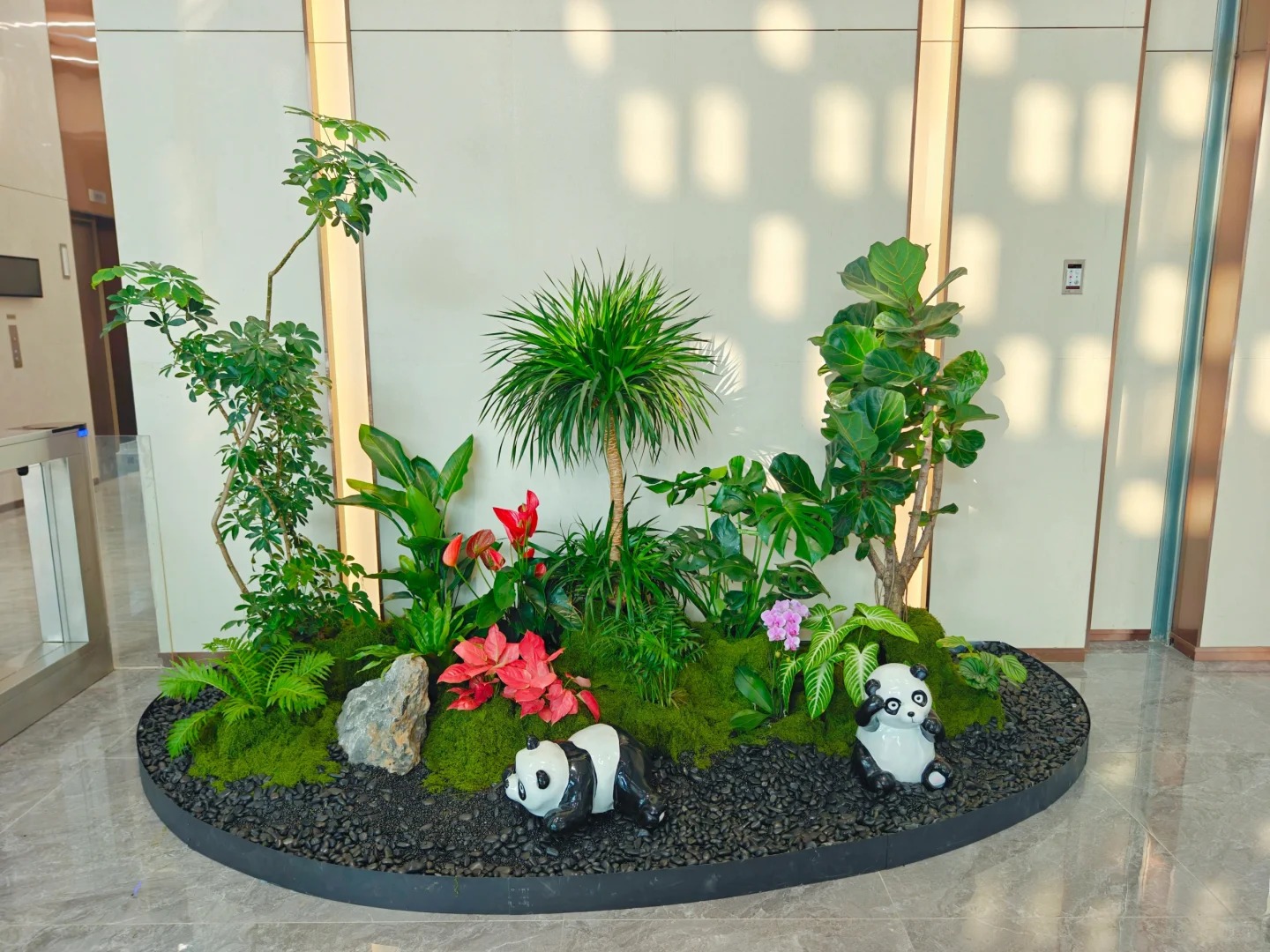 专业植物租赁,宁波奉化的绿色贴心之选